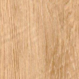 Дуб пісочний