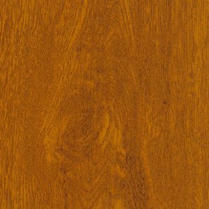 Дуб золотий