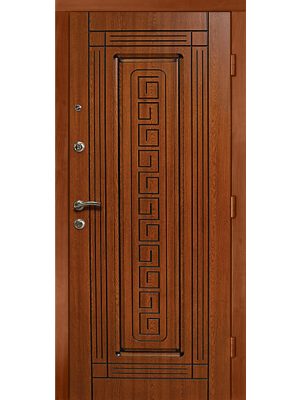 Вхідні двері Максимум MN19