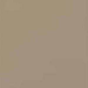 1019 RAL Сіро-бежевий