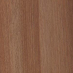 Горіх сивий світлий