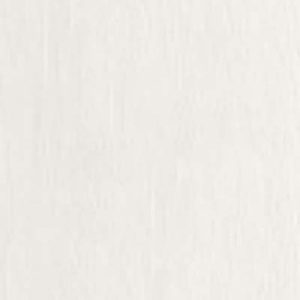 Каштан білий