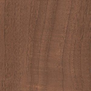 Вільха Італійська