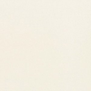 Білий перламутр