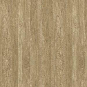 Клен Золотий