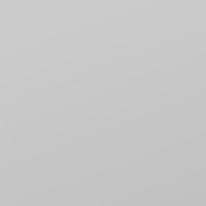 Світло-сірий супермат Renolit РР